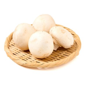 有機】山形県産 大粒マッシュルーム(ホワイト) 4個 1パック Green