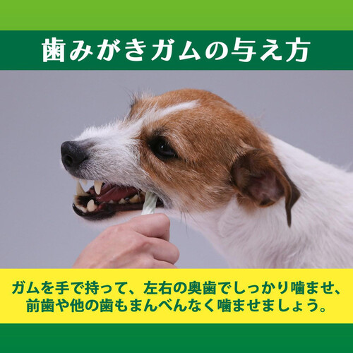 ライオンペット PETKISS 食後の歯みがきガム 小型犬用 135g