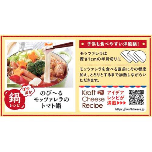 森永乳業 クラフト モッツァレラ フレッシュタイプ 100g
