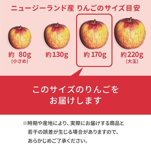 ニュージーランド産 りんご(ダズル) 3個入 1袋 トップバリュ