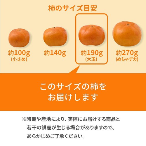 [食べごろ+] 和歌山県 果肉しっかりたねなし柿(かため) 大玉 2個
