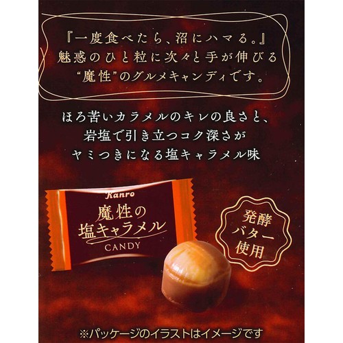 カンロ 魔性の塩キャラメルキャンディ 65g