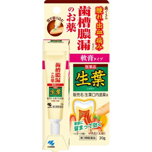 【第3類医薬品】生葉口内塗薬 20g