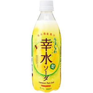 カルピス カルピスソーダ 冷凍みかん 450ml Green Beans