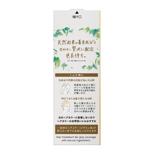 花王 ブローネ ナチュリラ 色長持ちカラートリートメント ダークブラウン つけかえ 155g