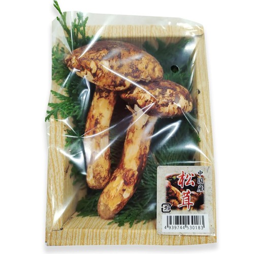中国産 松茸 75g