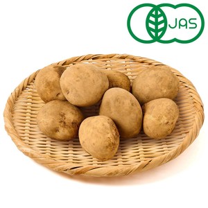 Y*。様 じゃがいものコ　alimie ウニコ じゃがいも カテゴリー Green Beans | グリーンビーンズ by AEON