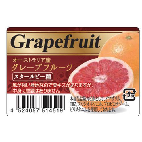 オーストラリア産 グレープフルーツ ルビー 4個 Green Beans