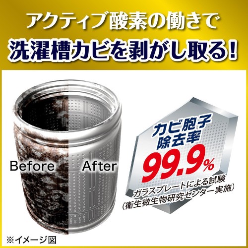 ジョンソン ガッツリ剥がす洗たく槽カビキラー 250g