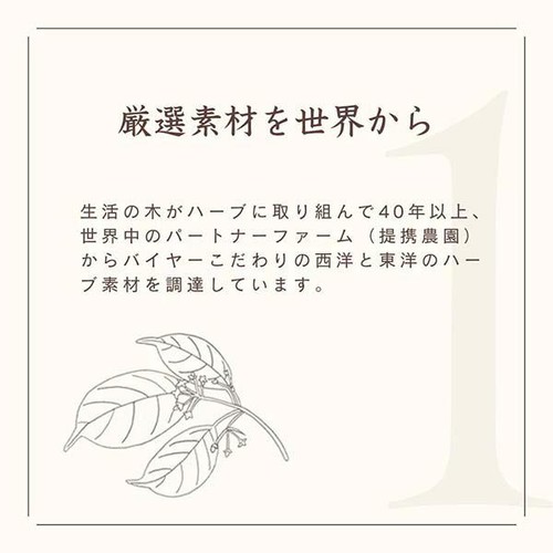 生活の木 私の30日茶 東方美人ブレンド 7個入