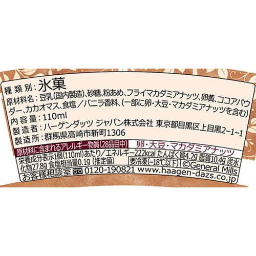 ハーゲンダッツ グリーンクラフト チョコレート&マカデミア 110ml