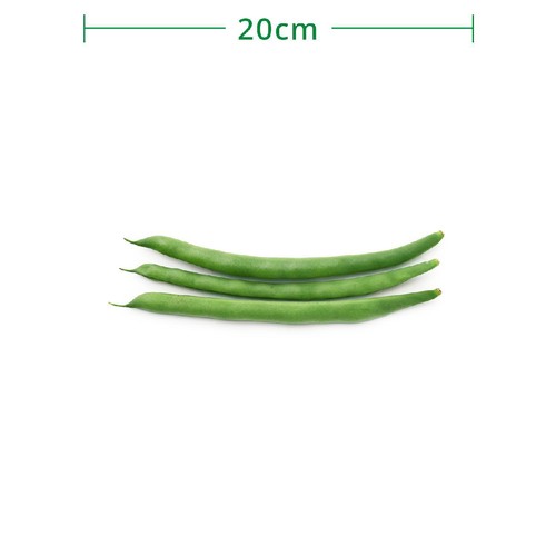 国内産 いんげん 150g 1袋