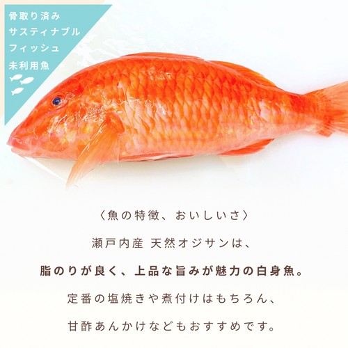 【冷凍】Umiのアトリエ 未利用魚 サステナブルフィッシュ 愛媛県産おじさんの切り身 骨取済み 100g