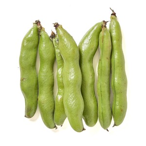 そらまめ 千葉県産 そらまめ 750g Green Beans | グリーンビーンズ by AEON