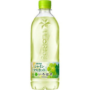 サントリー ヨーグリーナ 540ml Green Beans | グリーンビーンズ