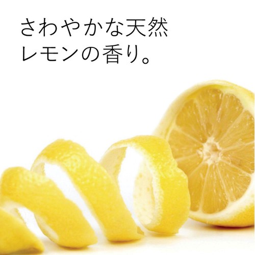 エコストアジャパン エコストア ディッシュウォッシュリキッドポンプレモン 350ml