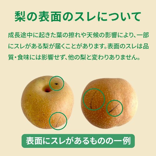 長野県産 小林さんの幸水梨 大玉 2個 640g