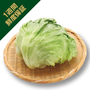 鮮度+］茨城県産 レタス 1個 Green Beans | グリーンビーンズ by AEON