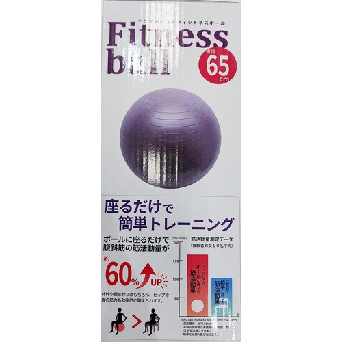ドウシシャ ノンバーストボール 65cm パープル