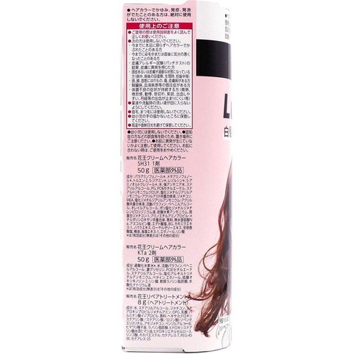 花王 ブローネ ルミエスト ヘアカラー 1WB ウォームブラウン 100g + 8g