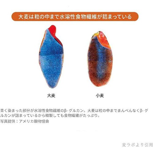 はくばく 大麦効果 60g x 6袋