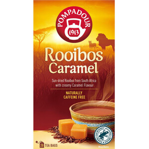 SALE ネスカフェゴールドブレンド 55g エコ&システムパック まとめ売り ネスレ ネスカフェ ゴールドブレンドエコ＆システムパック55g