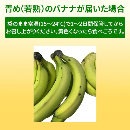 フィリピン産ドール 低糖度バナナ 500g 3-6本入 Green Beans 