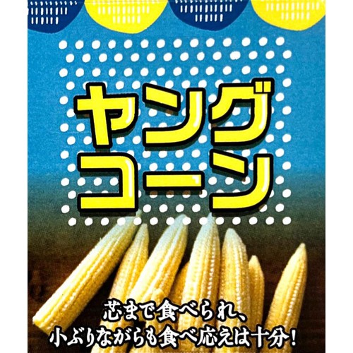 国内産 ヤングコーン 7本