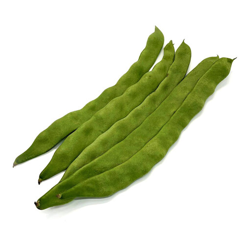 鹿児島県 ジャンボいんげん 150g Green Beans | グリーンビーンズ by AEON