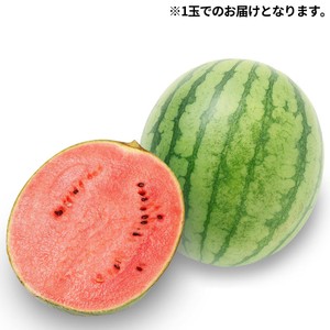 茨城県産 紅小玉すいか(スウィートキッズ)1.4kg 1玉 Green Beans