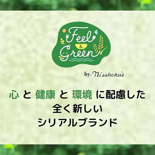 日本食品製造 Feel & Green やさしい玄米フレーク ほんのりりんご 120g