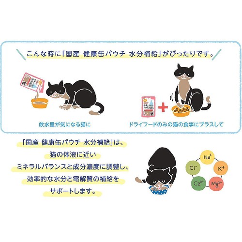 【ペット用】 アイシア 国産健康缶パウチ 食事で上手に水分補給 ささみ100%フレーク 40g