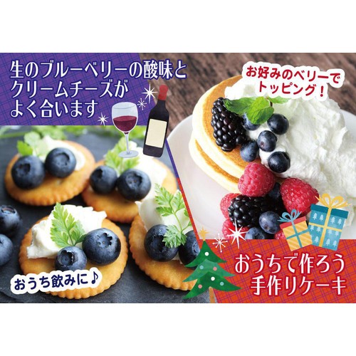 メキシコ産ブルーベリー 125g トップバリュ