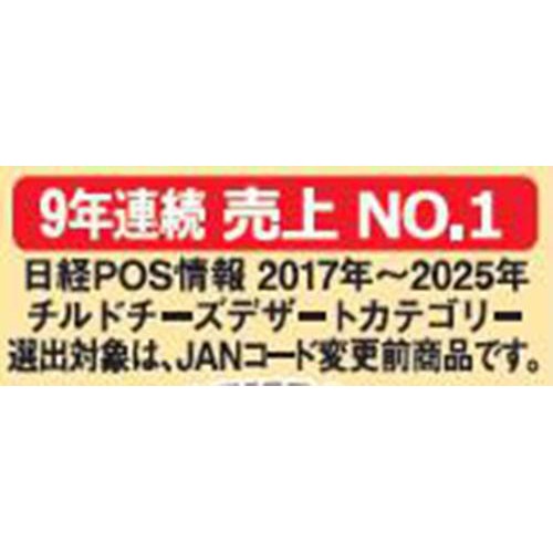 アンデイコ 北海道 チーズケーキ 1個