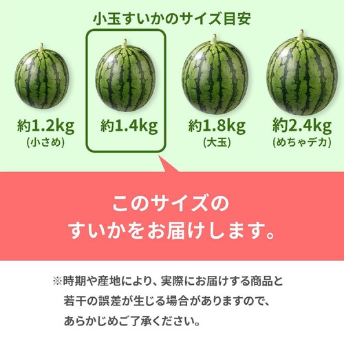 食べごろ+］熊本県産 タネごと食べられる味咲のすいかピノ・ガール 1.4