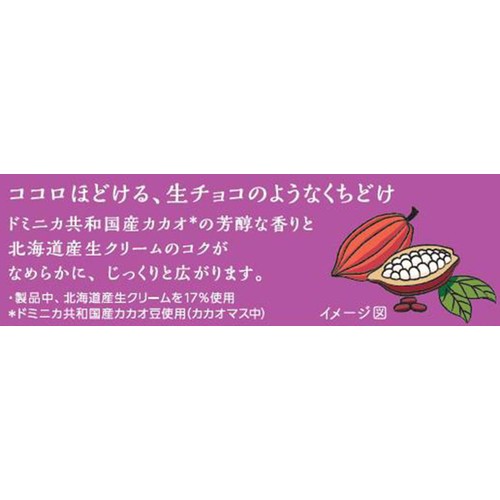 明治 生チョコ仕立てスイーツ 魅惑のカカオ 8個入(88g)