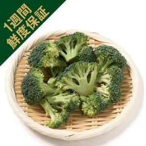 鮮度+] 国内産 スルフォラファンブロッコリー 90g 1パック Green Beans