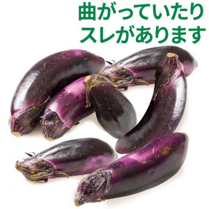 茨城県産栃食グループ 理由あり茄子 700g Green Beans | グリーン