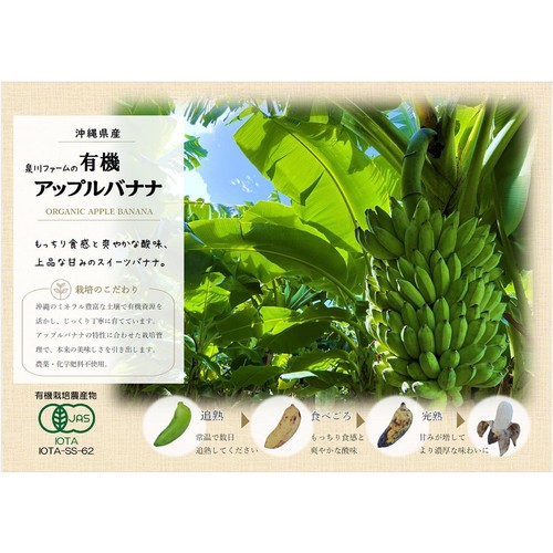 【有機】沖縄県産 泉川ファームのアップルバナナ 300g 3-4本