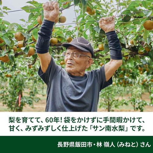［食べごろ+］長野県産 林さんのサン南水梨 大玉 640g 2個