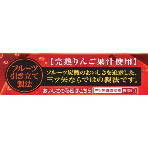 アサヒ飲料 三ツ矢 特濃アップルスカッシュ 500ml