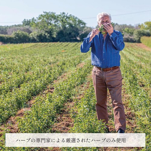 ナッシュ オーガニックハーブティー カモミール 350ml