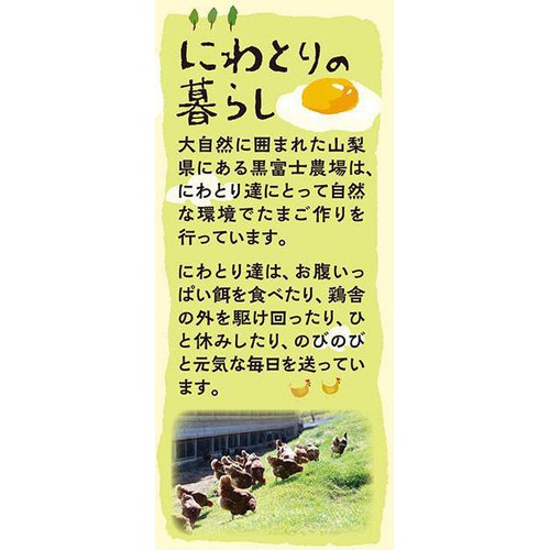 マヨネーズページ 平飼い鶏の有精卵マヨネーズ 290g 1本