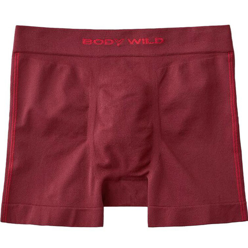 グンゼ BODY WILD 3Dボクサー サイドライン L ダークレッド Green