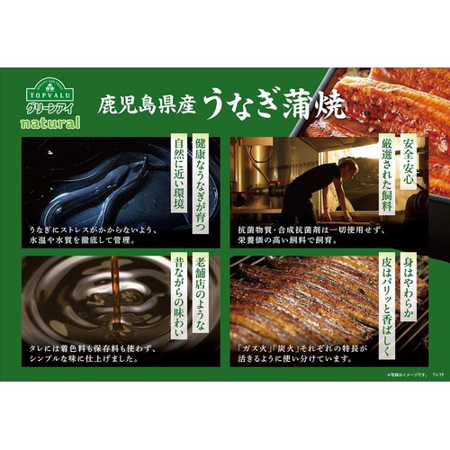 【冷凍】鹿児島県産 うなぎ蒲焼 大 1尾 トップバリュグリーンアイナチュラル