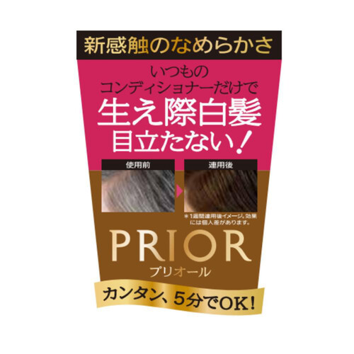 プリオール カラーコンディショナー N ブラウン 230g Green Beans