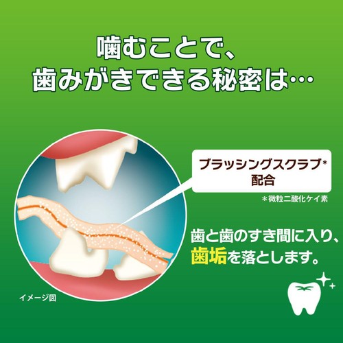 【ペット用】 ライオンペット PETKISS ネコちゃんの歯みがきおやつ カニ風味かま 15g