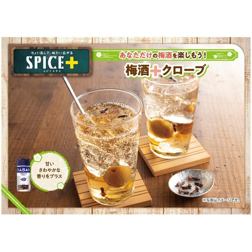 ハウス食品 GABAN ギャバン クローブホール 12g