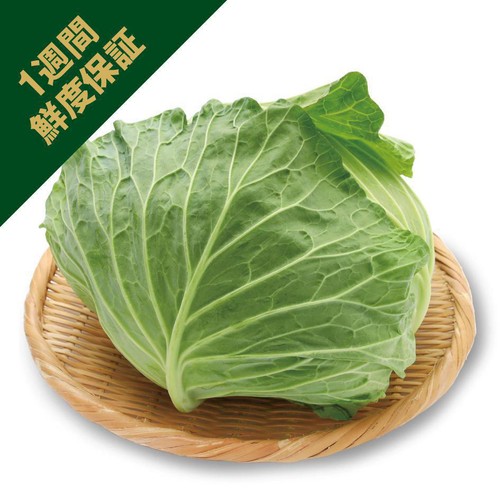 ［鮮度+］千葉県産 キャベツ 1個