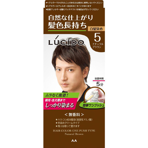 【お取り寄せ商品】 ルシード ワンプッシュケアカラー ナチュラルブラウン 医薬部外品 50g+50g